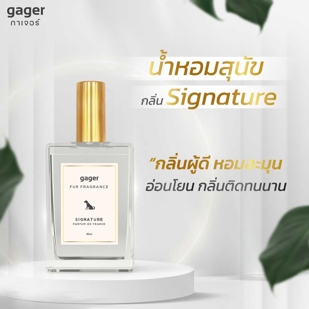 น้ำหอมสุนัขและแมว Signature กลิ่นผู้ดี หอมละมุน อ่อนโยน กลิ่นติดทนนาน 50ml.