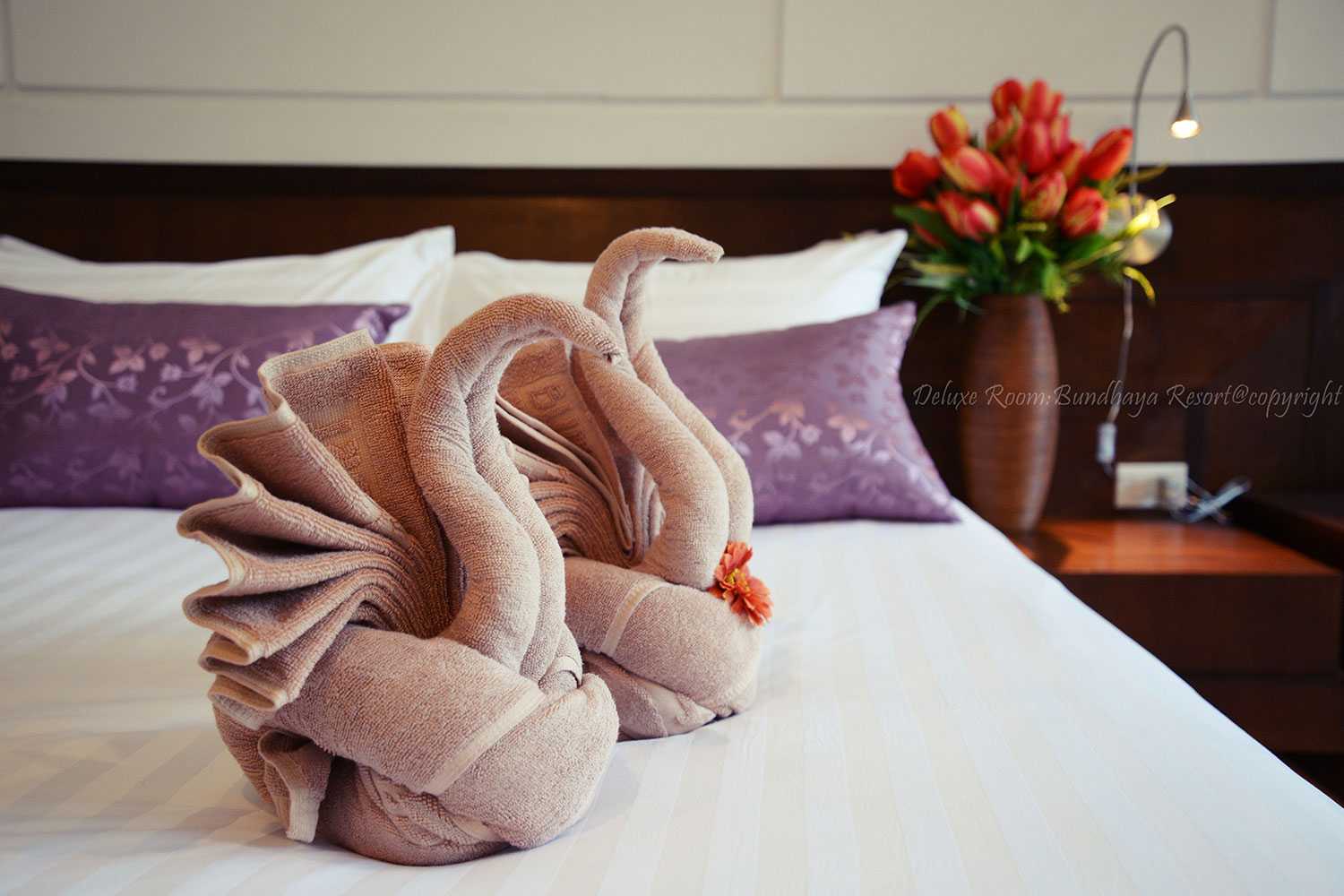 1-30Nov แพ็คเกจ 2วัน 1คืน บันดาหยา รีสอร์ท Deluxe Room