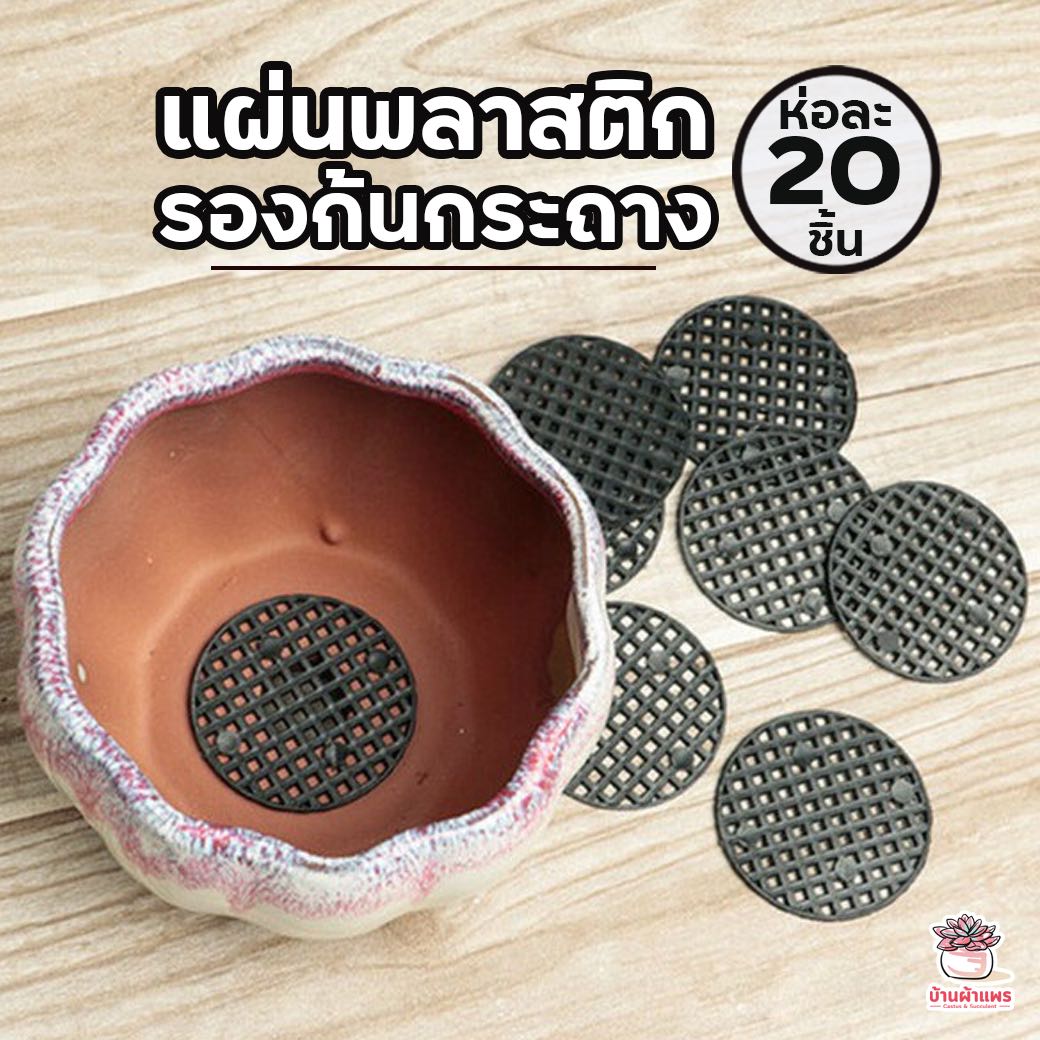 แผ่นพลาสติก รองก้นกระถาง ห่อละ 20 ชิ้น ไม้อวบน้ำ กุหลาบหิน cactus&succulentหลากหลายสายพันธ์
