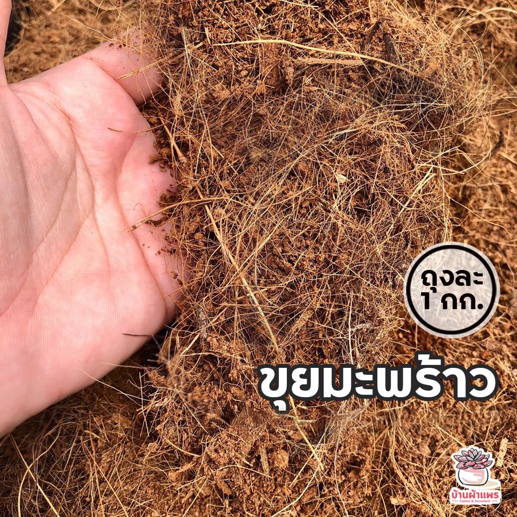 ถุงละ 1 ลิตร ขุยมะพร้าว แคคตัส กระบองเพชร ไม้อวบน้ำ ขุยมะพร้าว