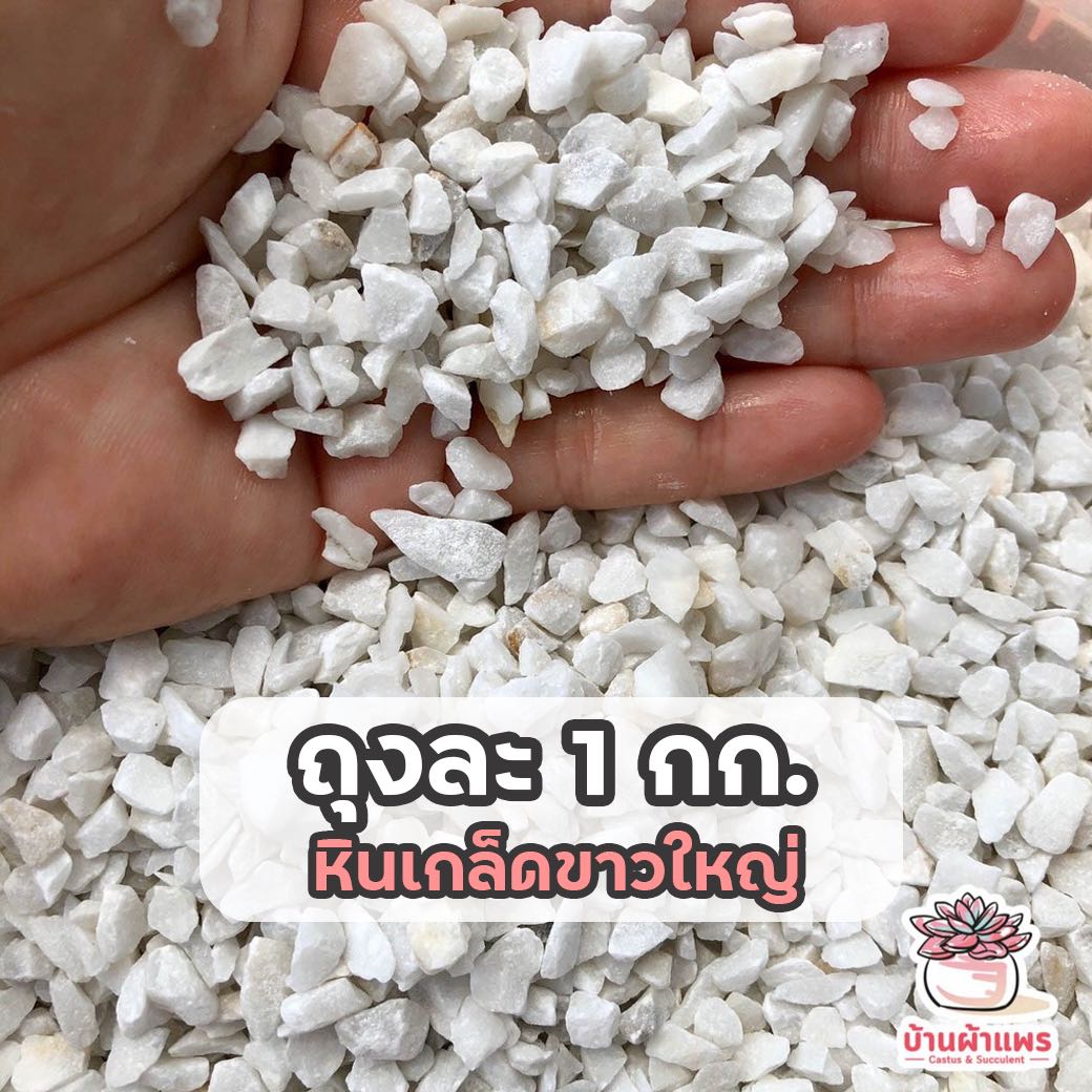ถุงละ 1 กก. หินเกล็ดขาวใหญ่ หินโรยหน้ากระถาง แคคตัส กระบองเพชร ไม้อวบน้ำ