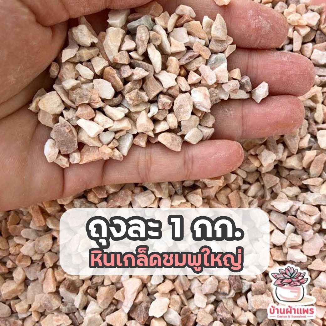 ถุงละ 1 กก. หินเกล็ดชมพูใหญ่ หินโรยหน้ากระถาง แคคตัส กระบองเพชร ไม้อวบน้ำ