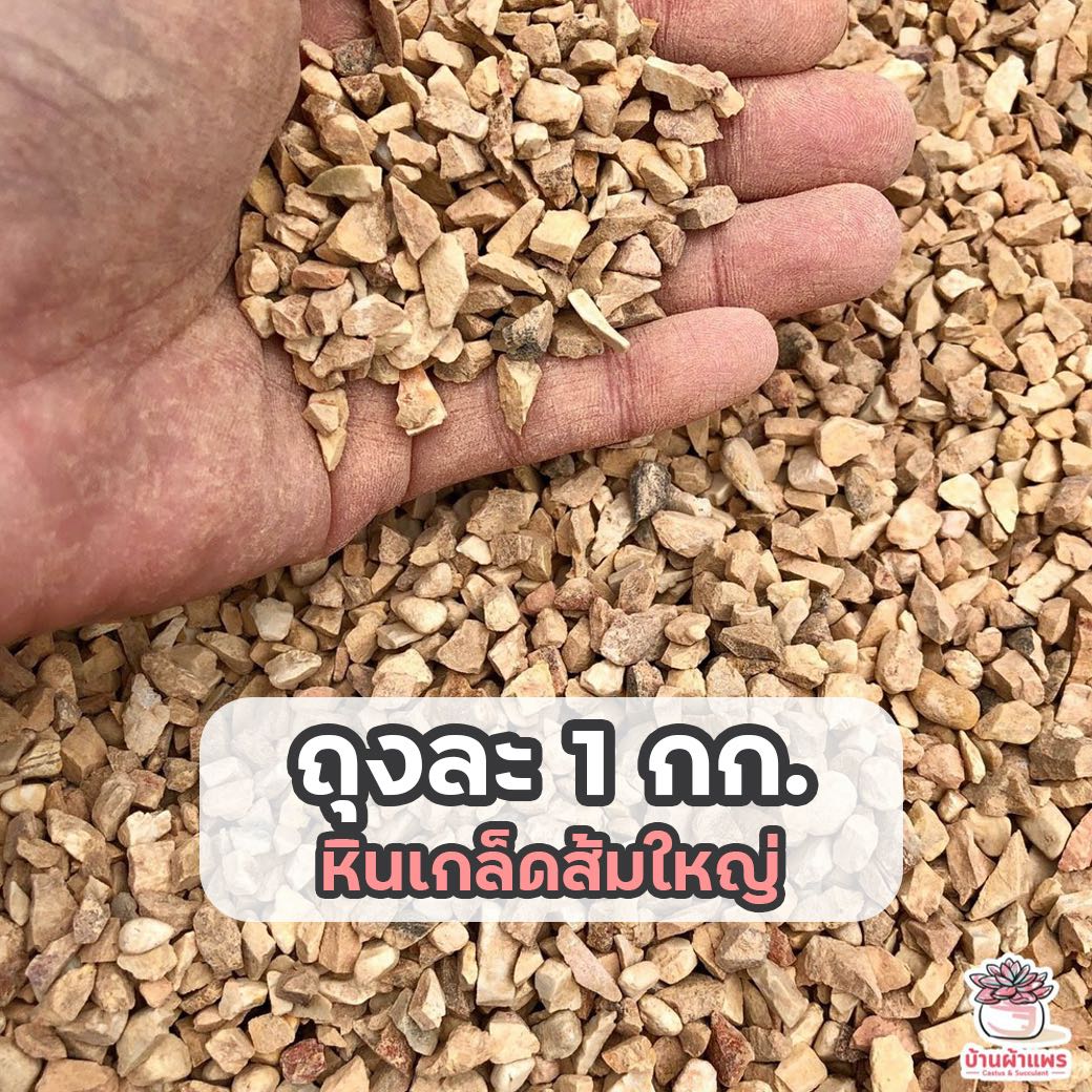 ถุงละ 1 กก. หินเกล็ดส้มใหญ่ หินโรยหน้ากระถาง แคคตัส กระบองเพชร ไม้อวบน้ำ