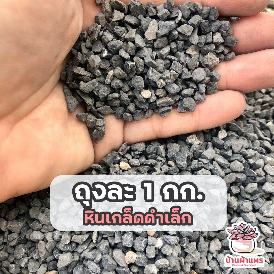 ถุงละ 1 กก. หินเกล็ดดำเล็ก หินโรยหน้ากระถาง แคคตัส กระบองเพชร ไม้อวบน้ำ