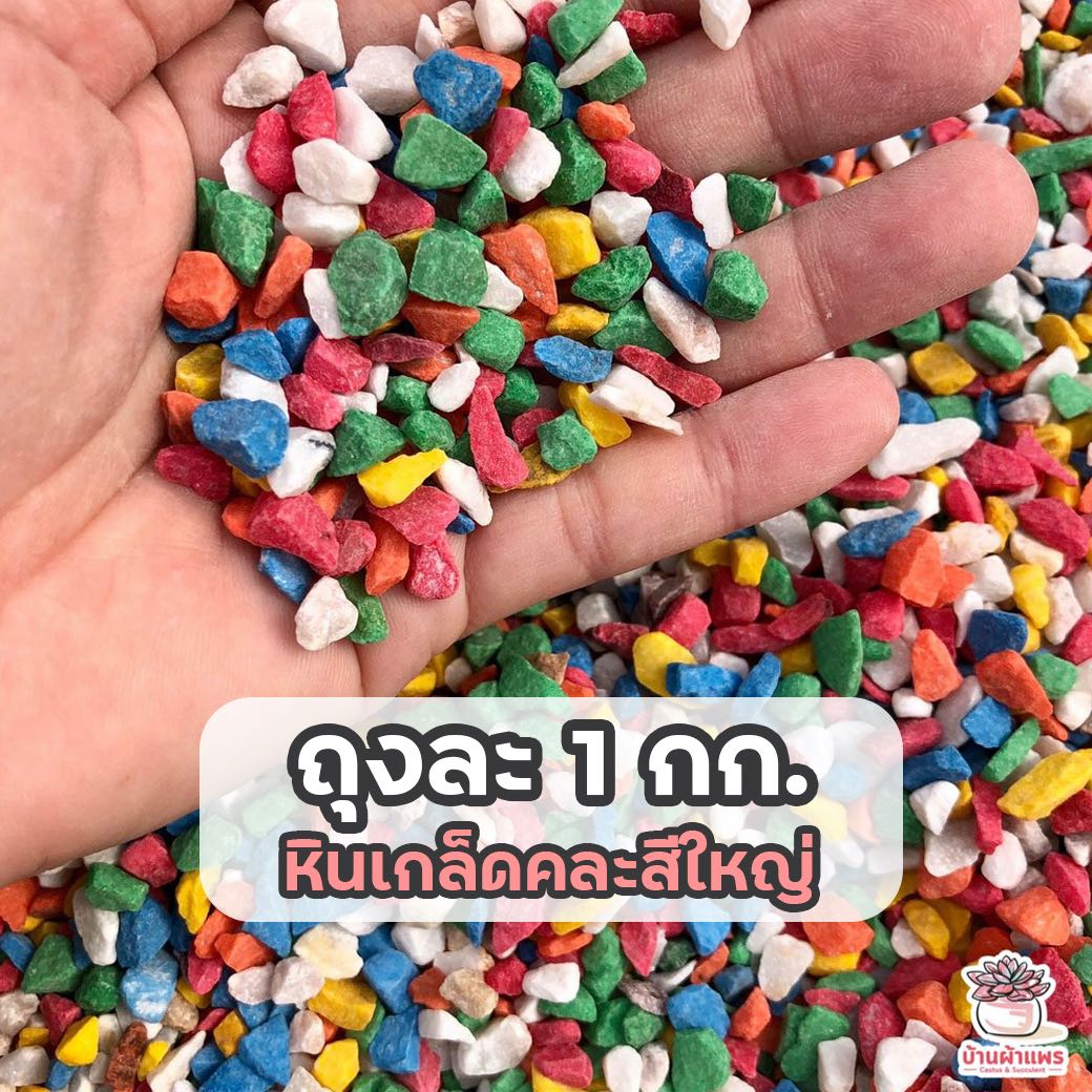 ถุงละ 1 กก. หินเกล็ดคละสีใหญ่ หินโรยหน้ากระถาง แคคตัส กระบองเพชร ไม้อวบน้ำ ใหญ่