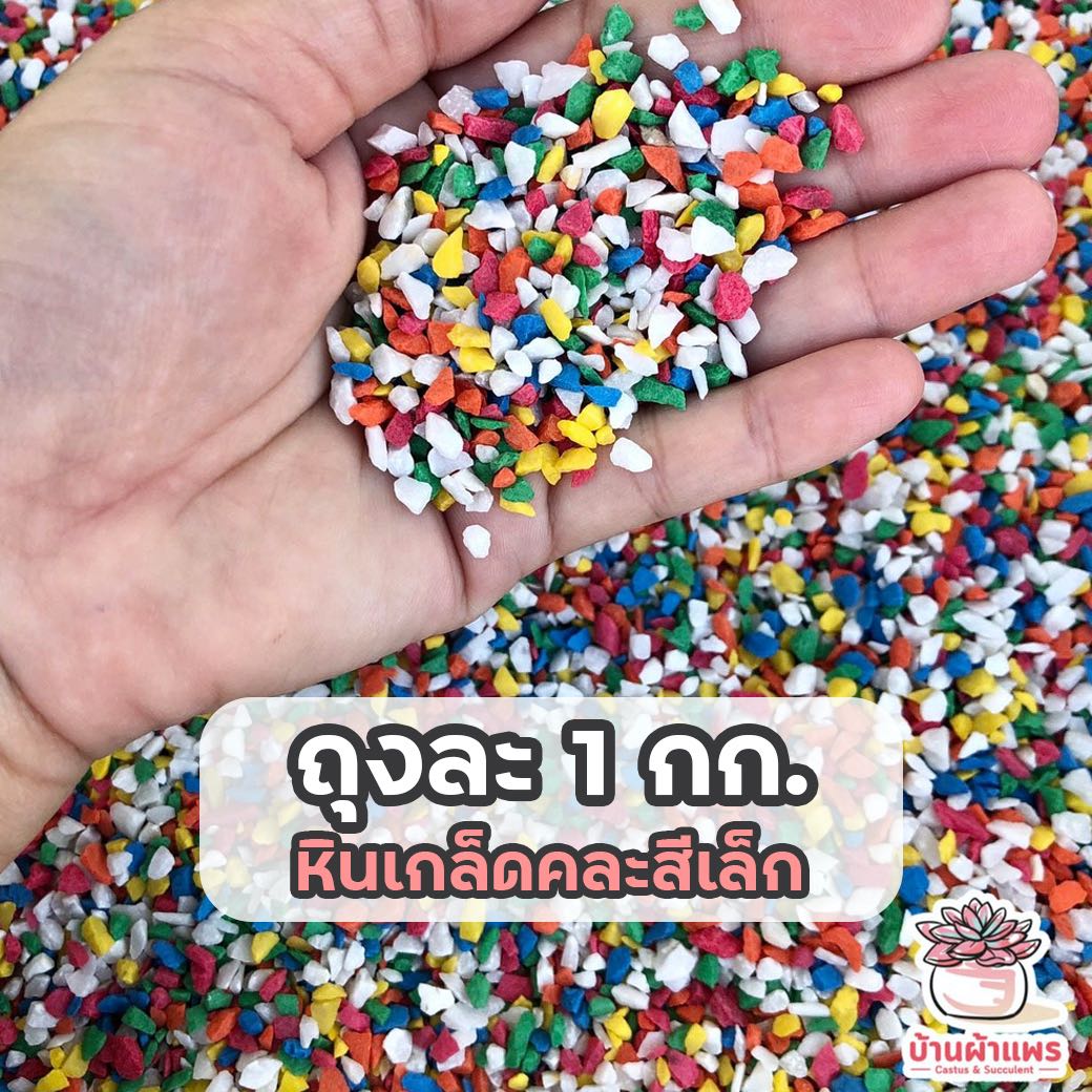 ถุงละ 1 กก. หินเกล็ดคละสีเล็ก หินโรยหน้ากระถาง แคคตัส กระบองเพชร ไม้อวบน้ำ เล็ก