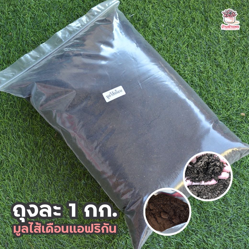ถุงละ 1 กก. มูลไส้เดือนแอฟริกัน ส่วนผสมดินปลูกแคคตัส&ไม้อวบน้ำ