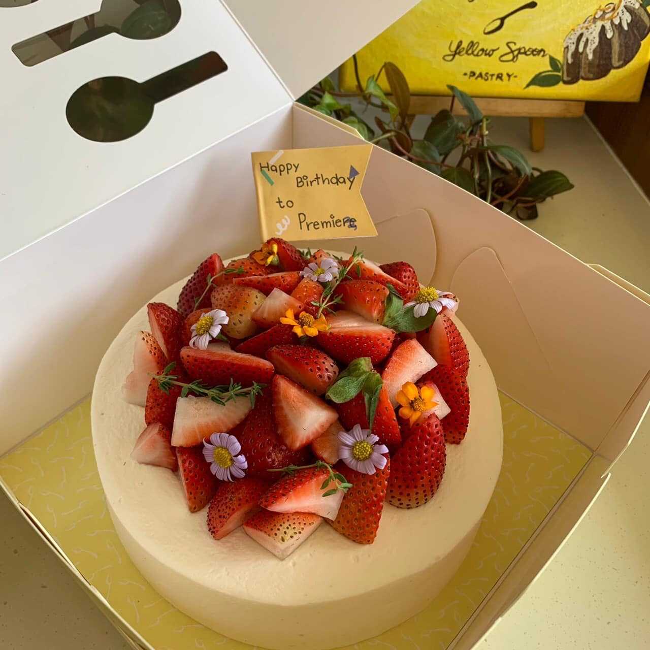 Strawberry Shortcake with full berries (Size S)