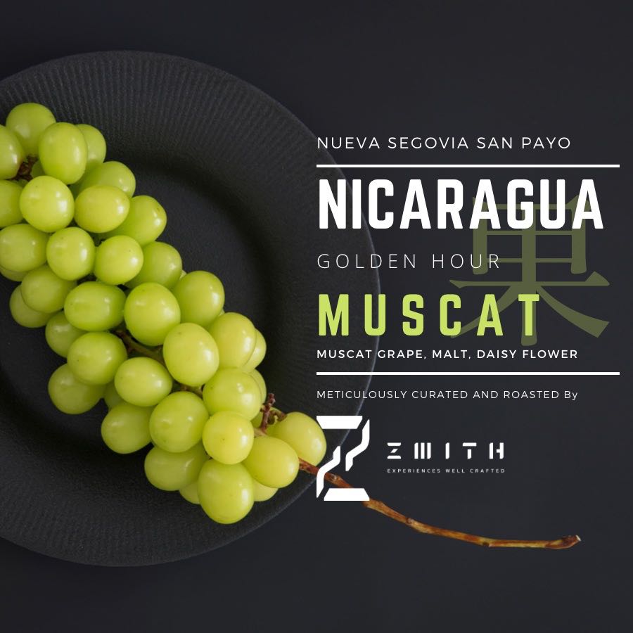 Nicaragua MUSCAT - Roast Coffee (Whole Bean) - เมล็ดกาแฟคั่ว แบบยังไม่บด
