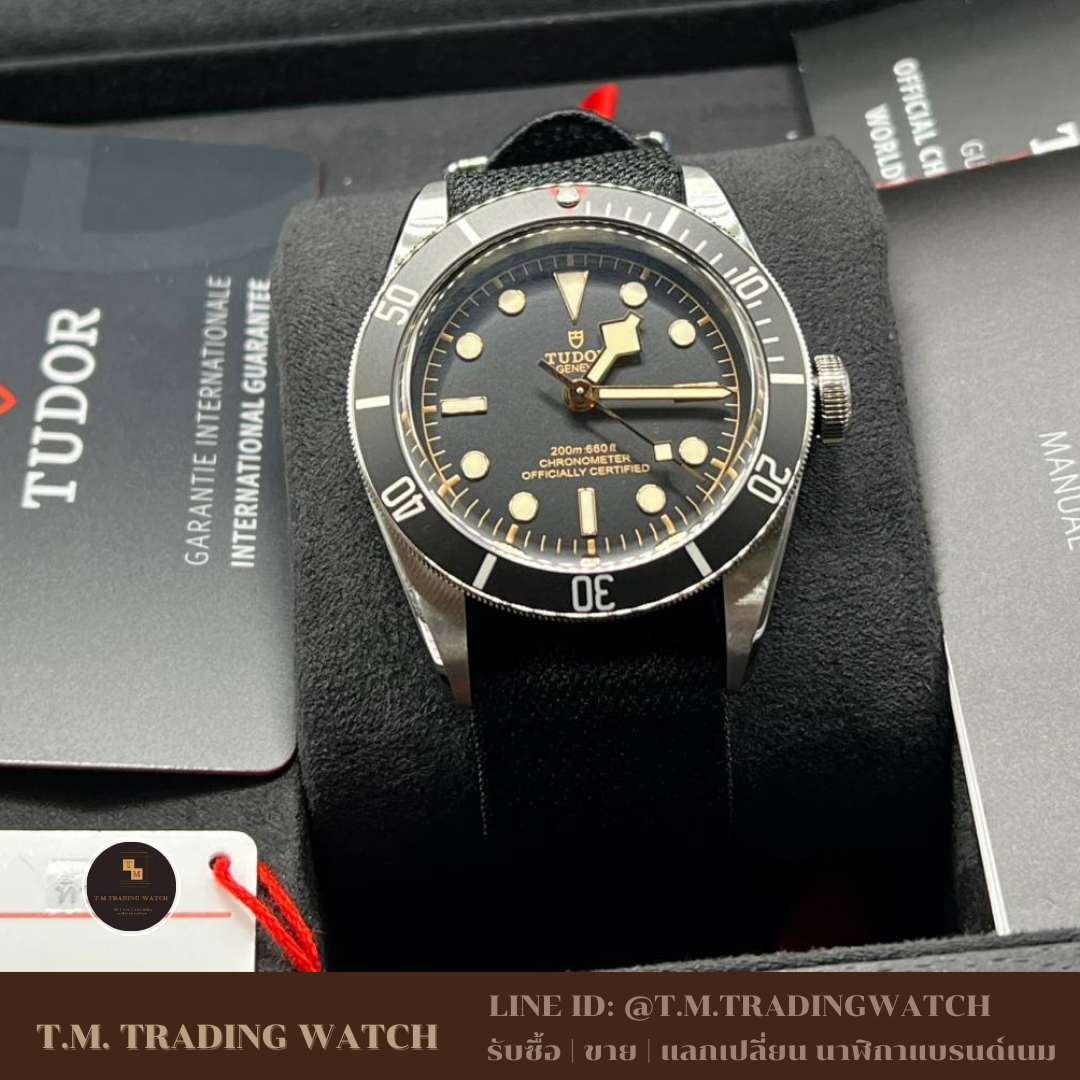 Tudor Black Bay 
