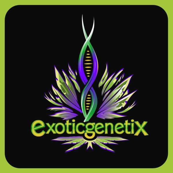 Exotic Genetix - Apes in Space