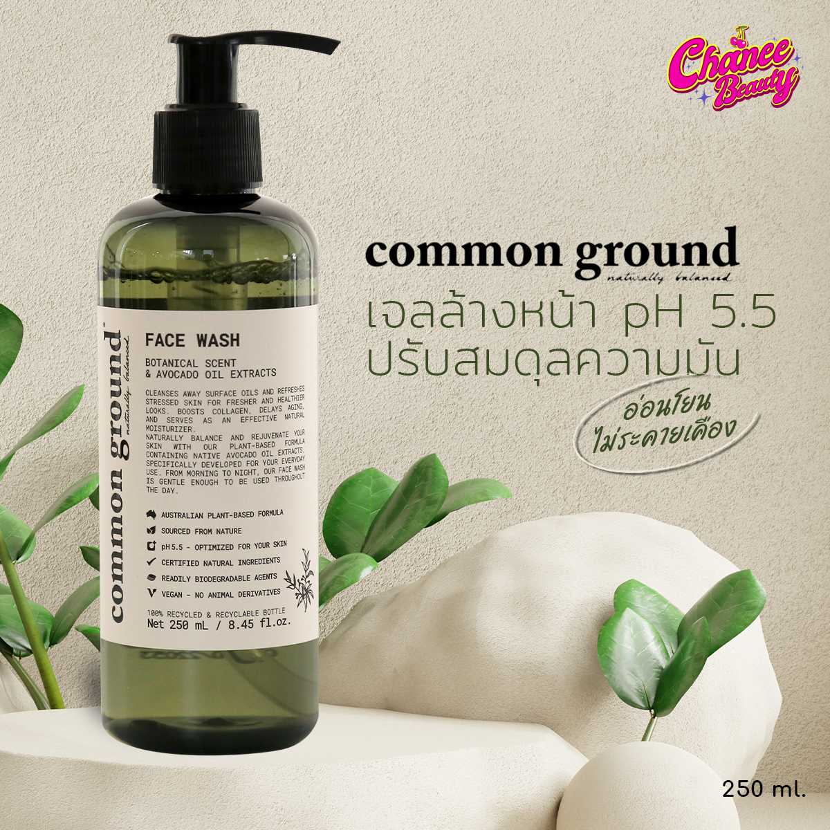 เจลล้างหน้า Common ground เจลล้างหน้า คอมมอน กราวด์ เจลล้างหน้าออสเตรเลีย