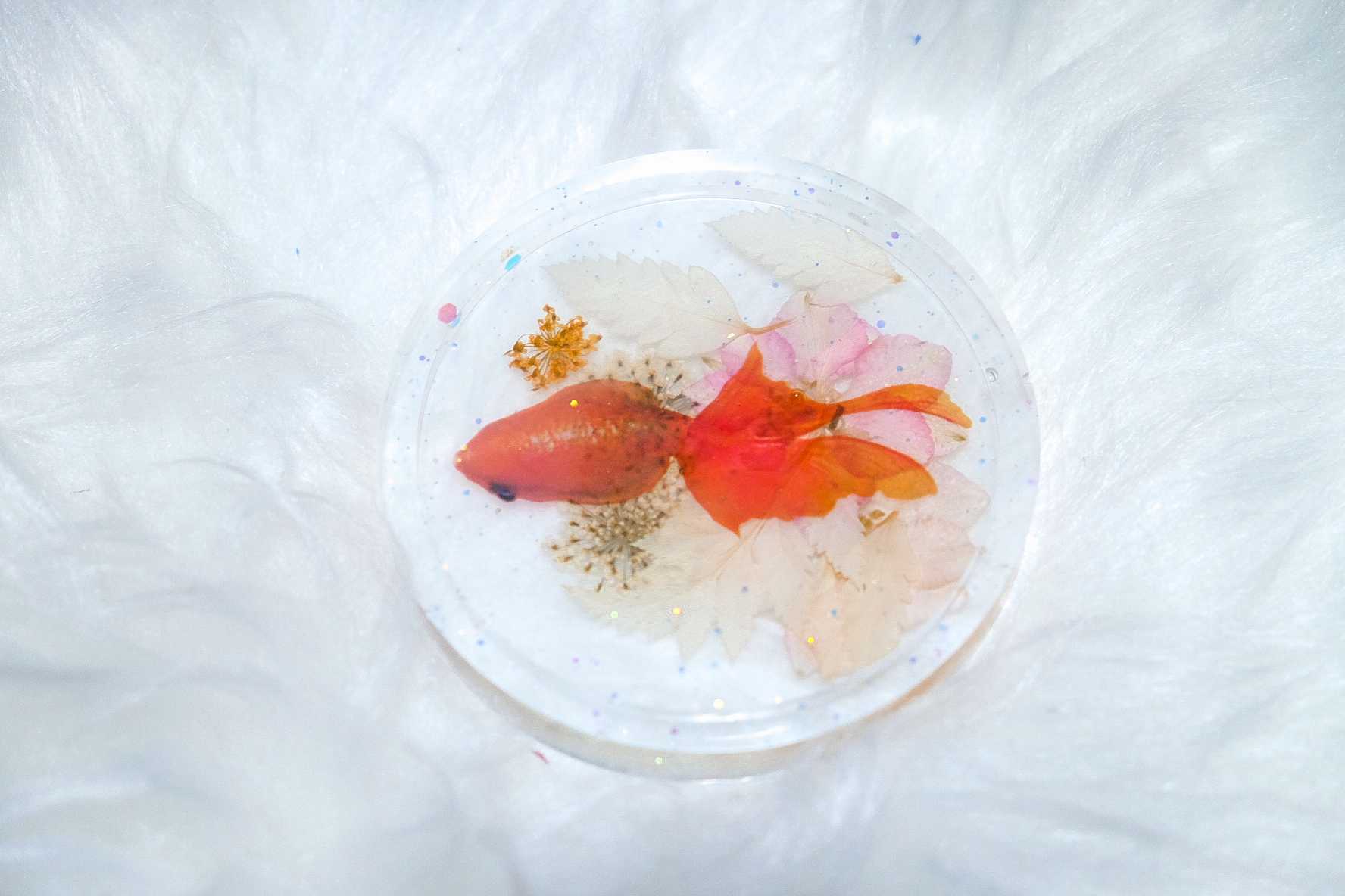Coaster Golden Fish 🧡🐟