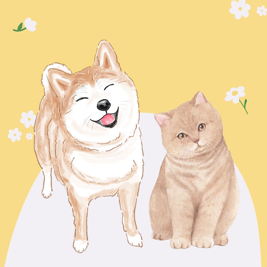 An Image