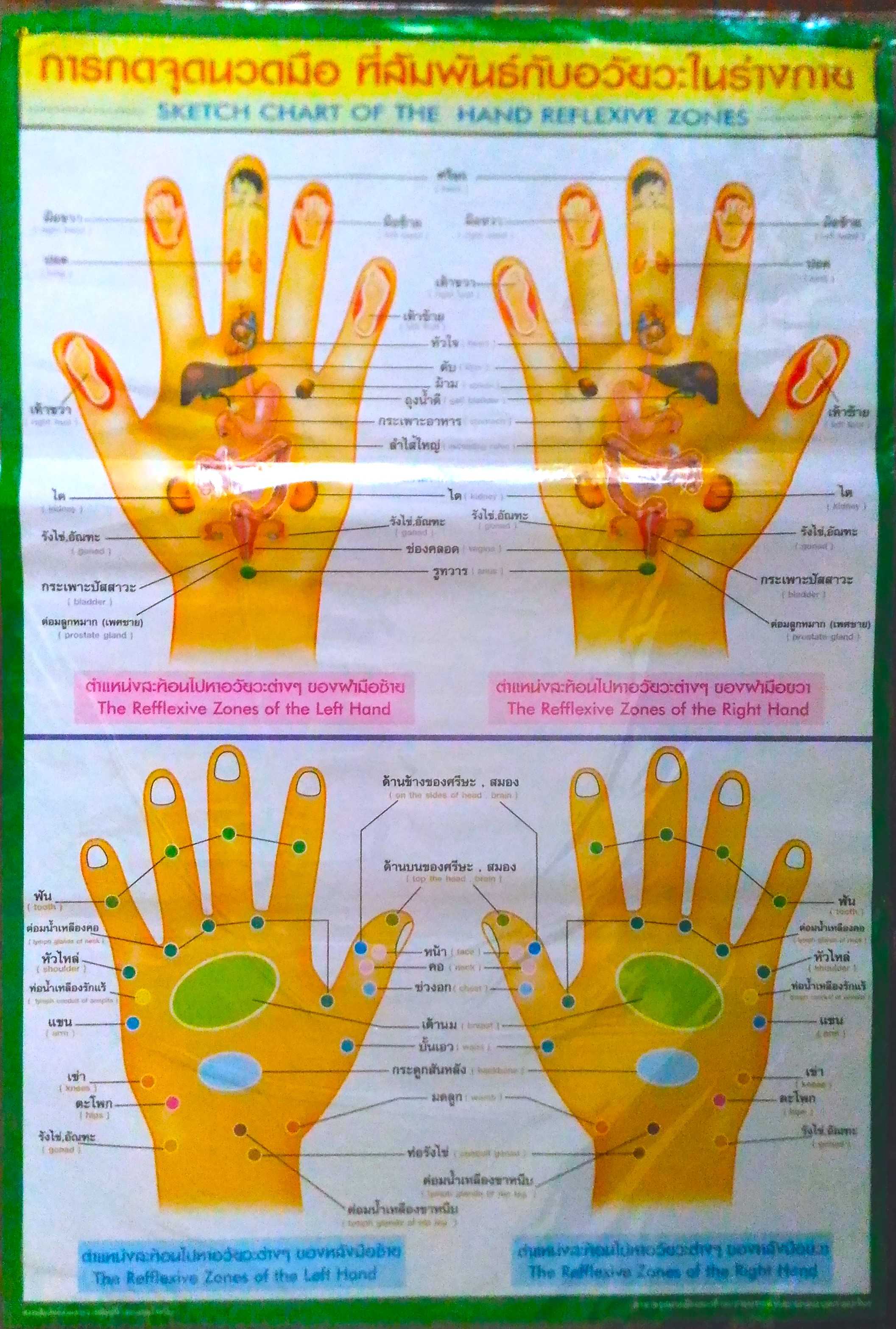 โปสเตอร์ การกดจุดนวดมือที่สัมพันธ์กับอวัยวะร่างกาย Hand massage points related to body organs