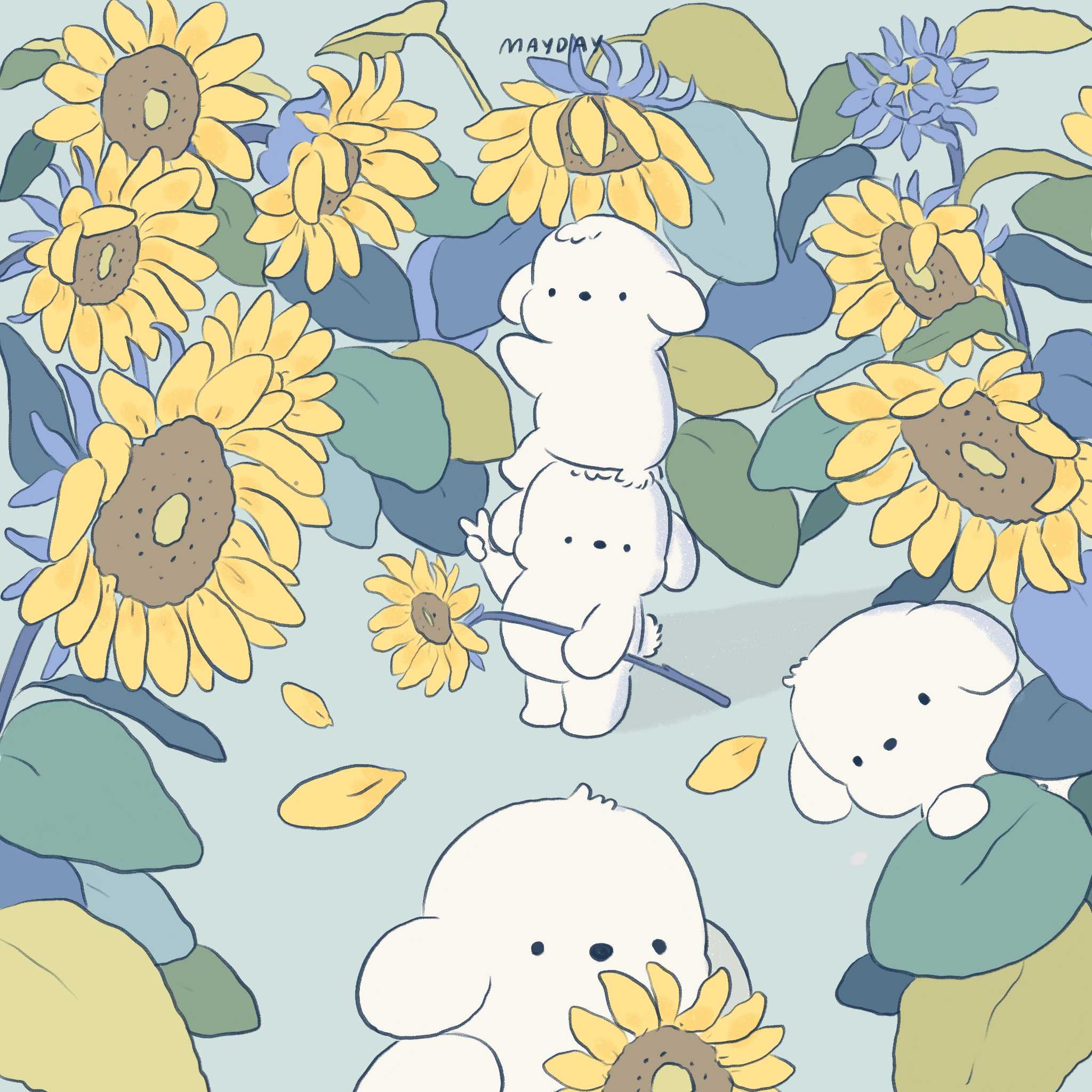 Sunflower