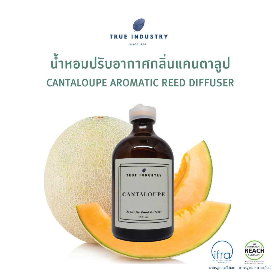 น้ำหอมปรับอากาศ กลิ่นแคนตาลูป (Cantaloupe Aromatic Reed Diffuser)