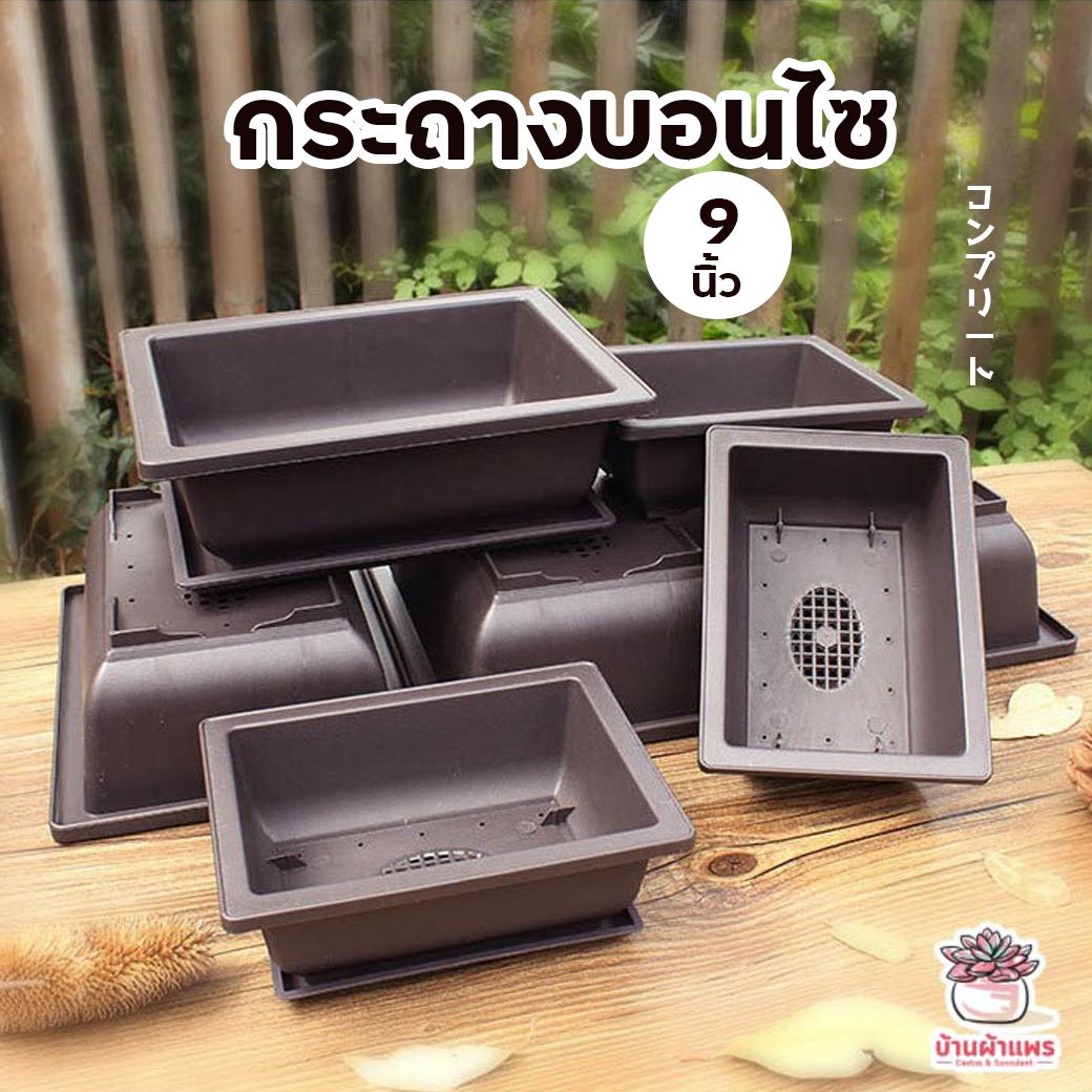 ( 1513 ) กระถางบอนไซ 9 นิ้ว กระถางสี่เหลี่ยมผืนผ้า กระถางทรงเตี้ย กระถางพลาสติก