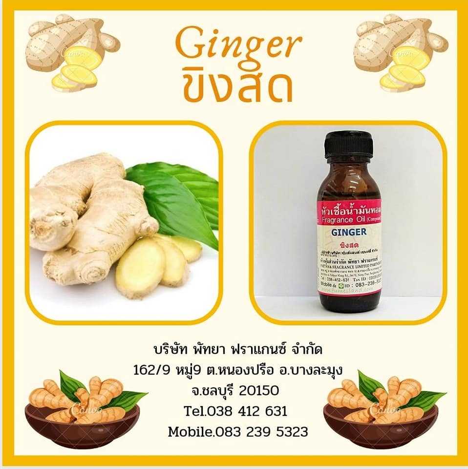 หัวเชื้อน้ำหอมกลิ่น GINGER ขิง