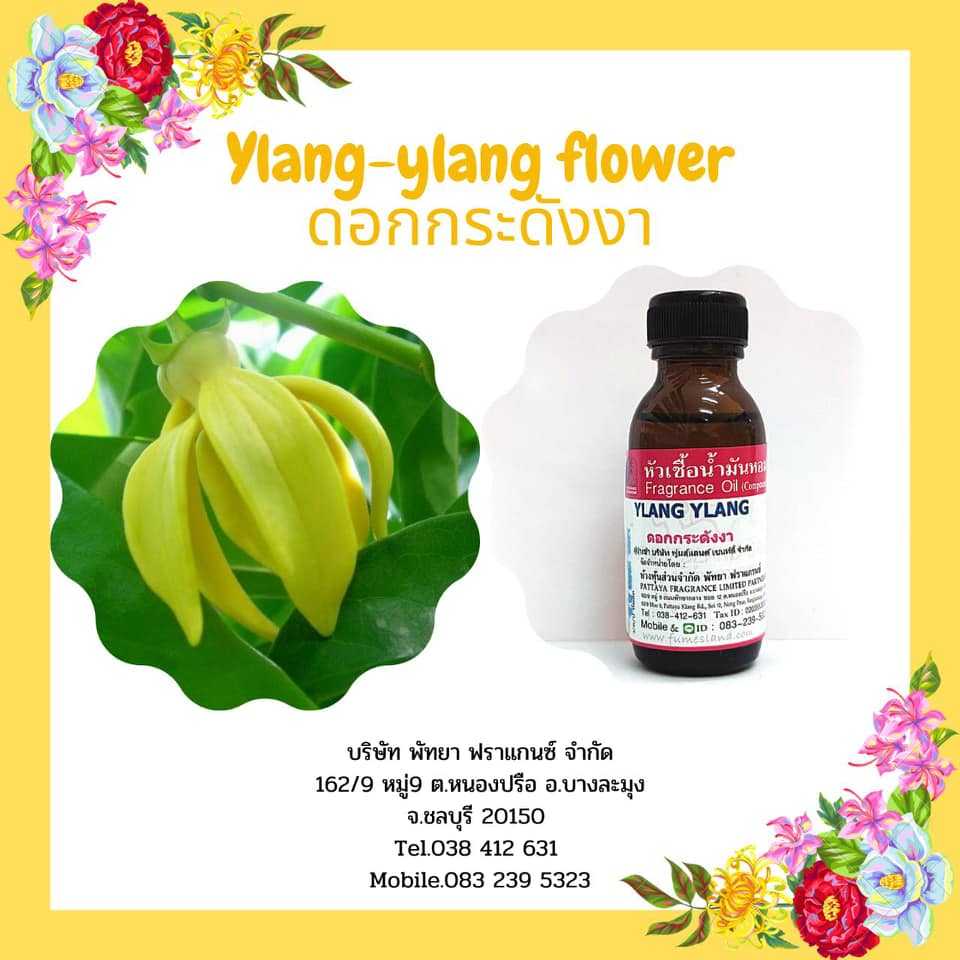 หัวเชื้อน้ำหอมกลิ่น Ylang-ylang Flower ดอกกระดังงา