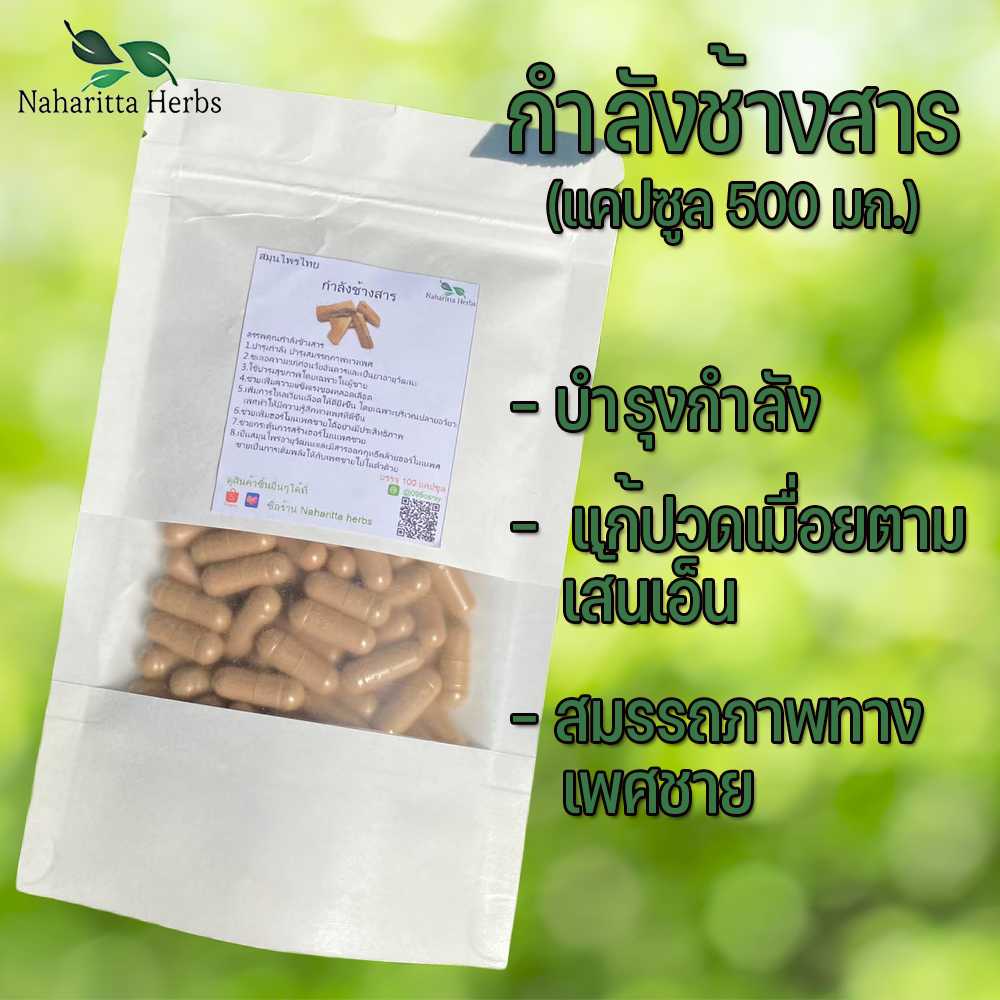 กำลังช้างสารแคปซูล  ใช้บำรุงสุขภาพโดยเฉพาะในผู้ชาย (ขนาด 500 มก./แคปซูล) บรรจุ 50-100 แคปซูล