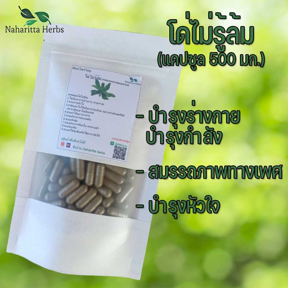 โด่ไม่รู้ล้มแคปซูล ช่วยฟื้นฟูและบำรุงสมรรถภาพ  (ขนาด 500 มก./แคปซูล) บรรจุ 50-100 แคปซูล