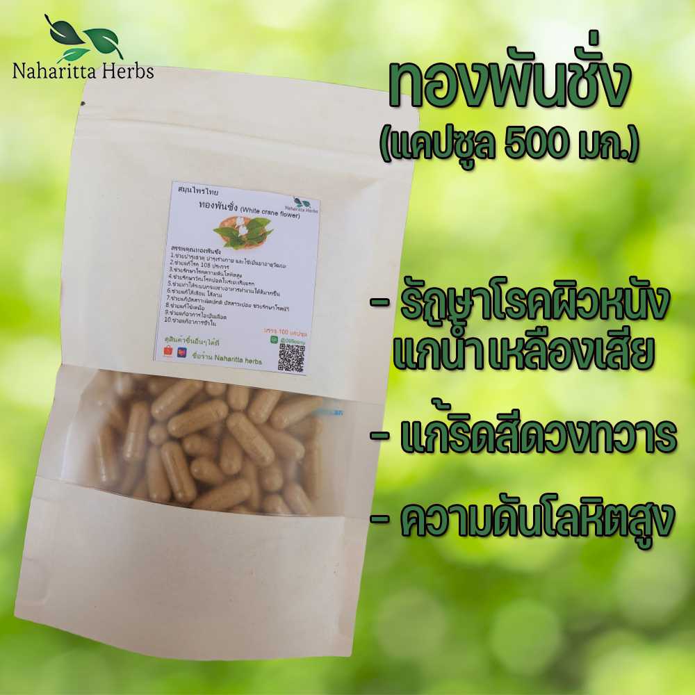 ทองพันชั่งแคปซูล ช่วยรักษาโรคความดันโลหิตสูง (ขนาด 500 มก./แคปซูล) บรรจุ 50-100 แคปซูล
