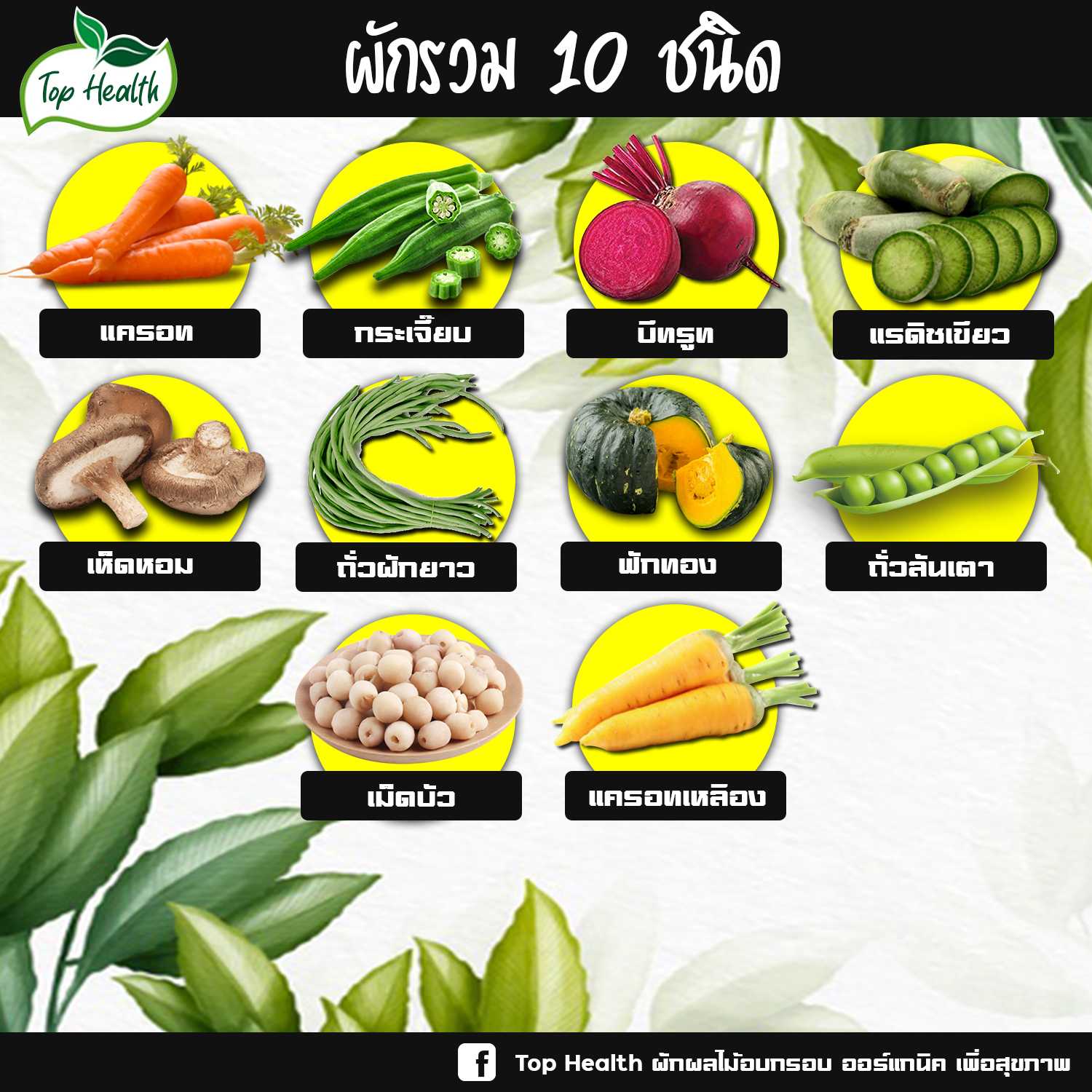 [ส่งฟรี] ผักล้วนอบกรอบ 10 ชนิด หวาน กรอบ อร่อย ทานเล่น มีประโยชน์ ดีต่อสุขภาพ