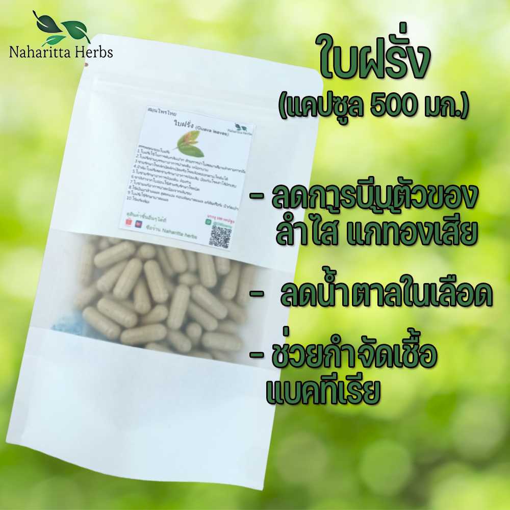ใบฝรั่งแคปซูล ช่วยรักษาโรคความดันโลหิตสูง  (ขนาด 500 มก./แคปซูล) บรรจุ 50-100 แคปซูล