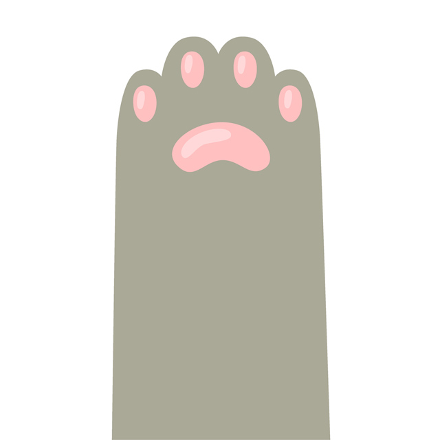 An Image