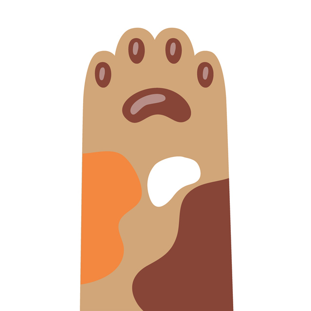 An Image