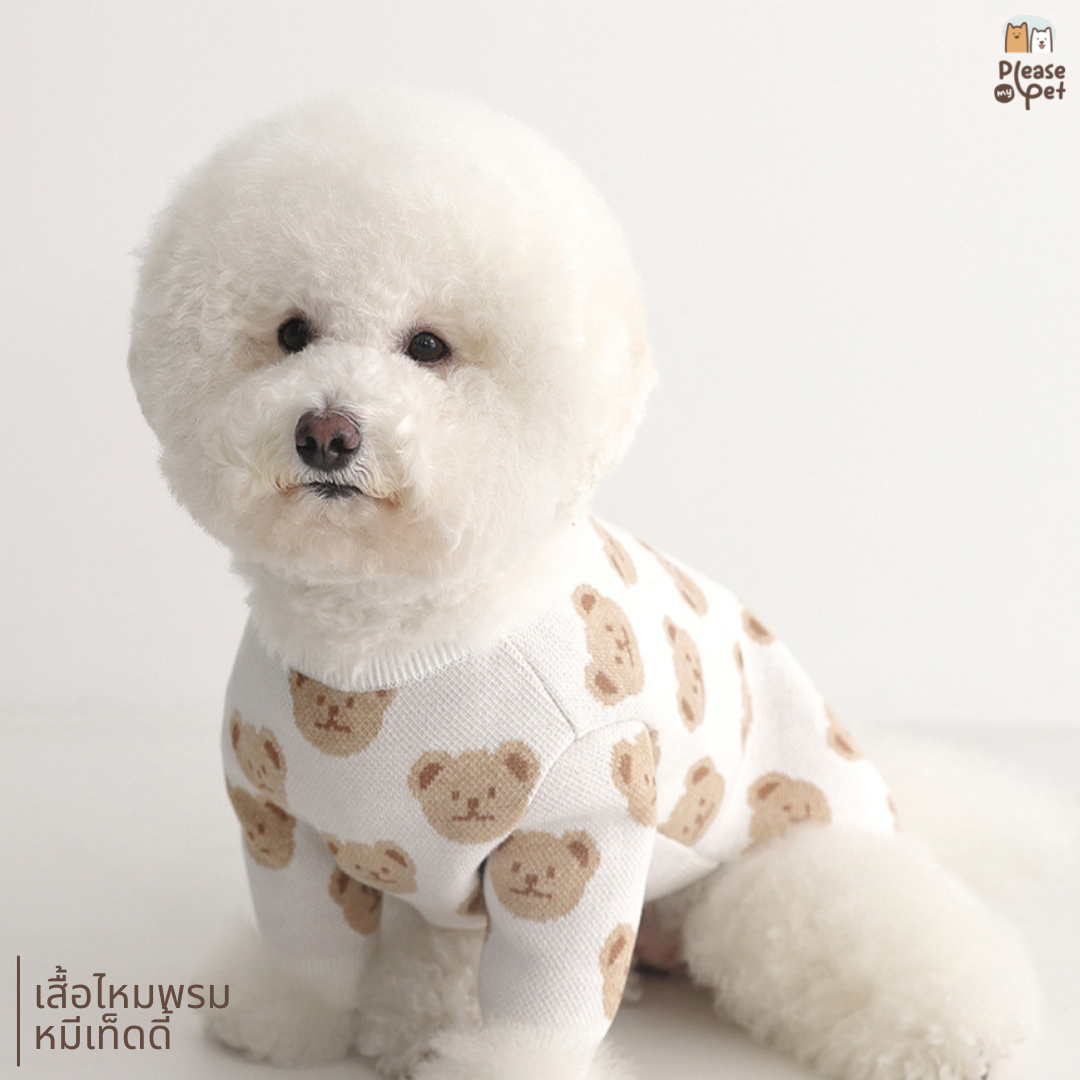 TEDDY เสื้อไหมพรมพี่หมี