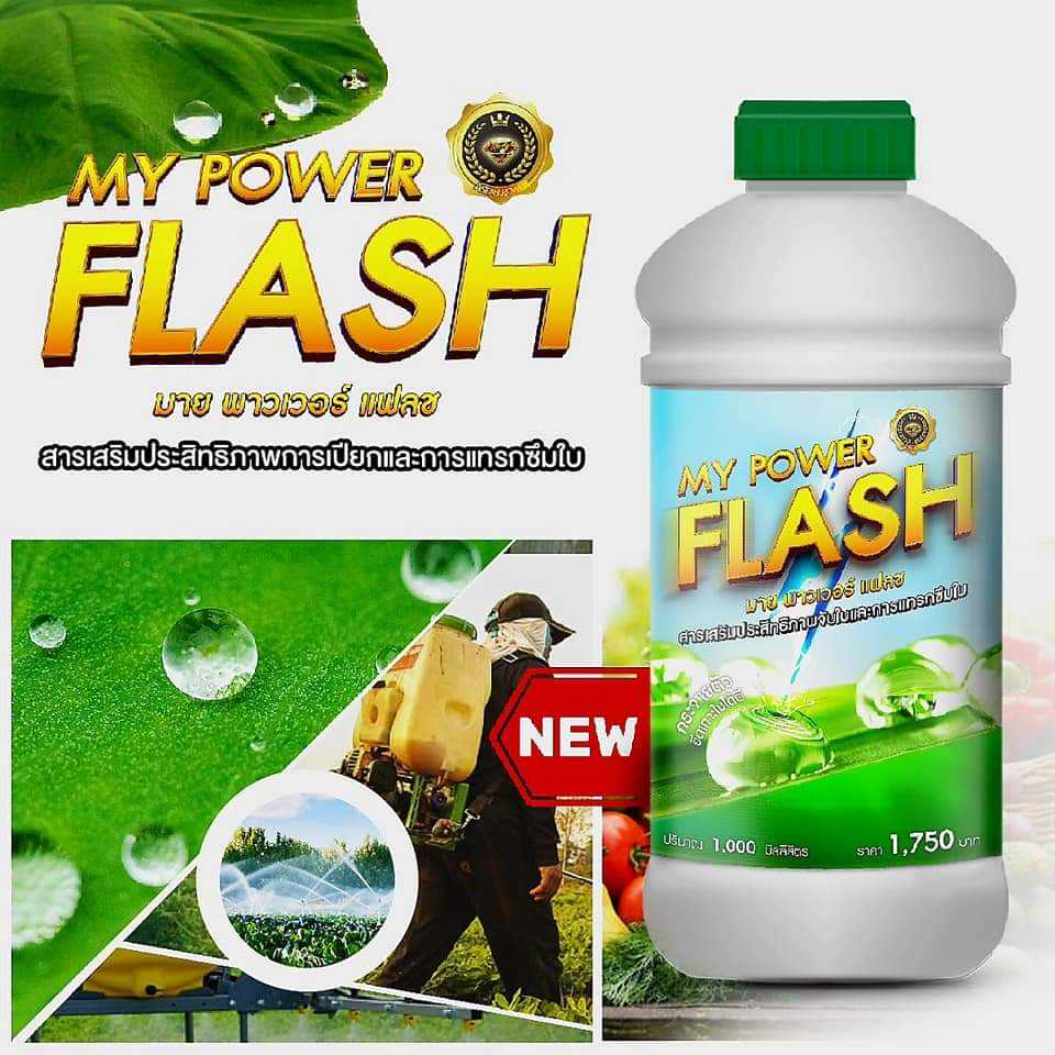 มายแฟลช