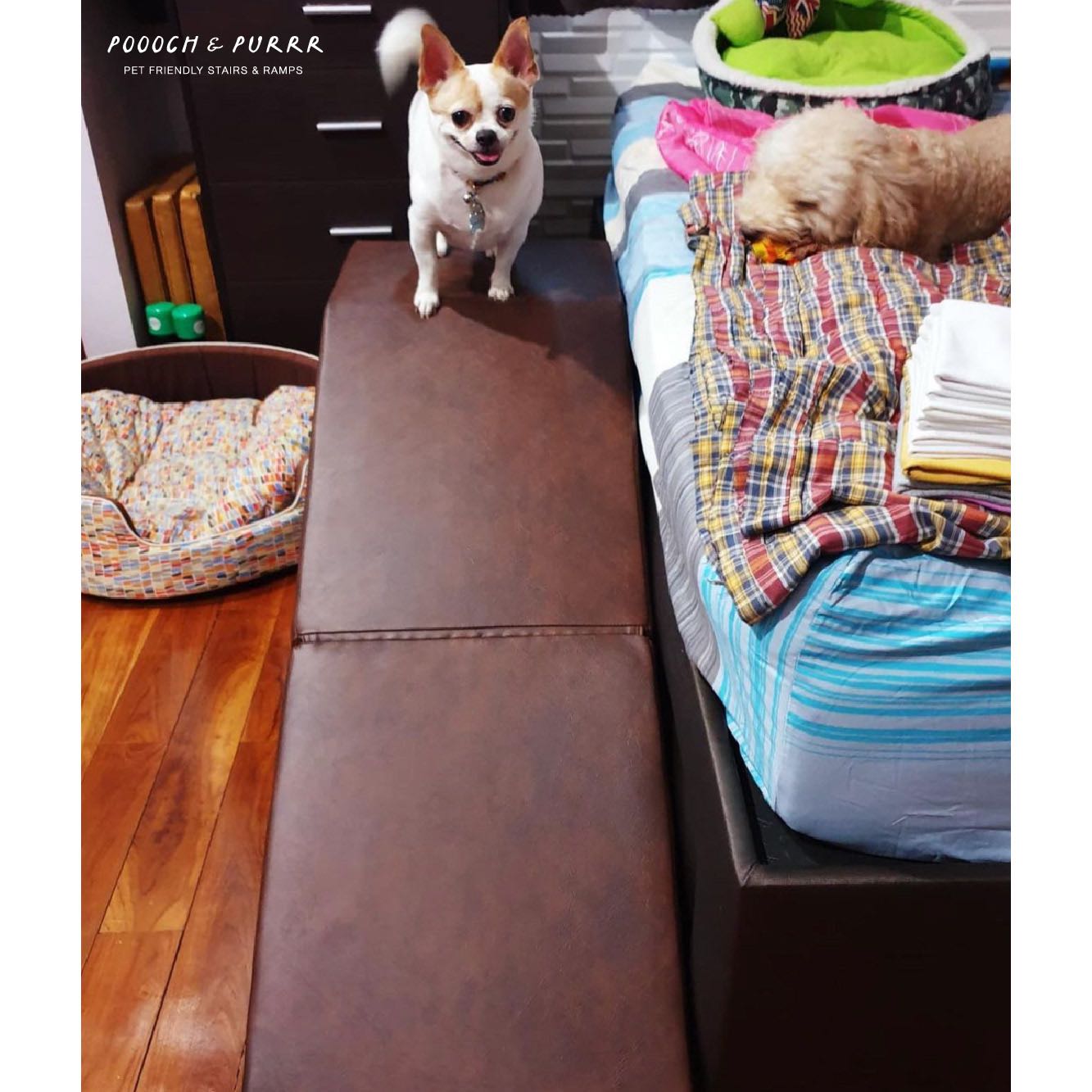 PRE ORDER ทางลาดสุนัขสูง 45 cm รุ่น FOLD 45 - POOOCH & PURRR RAMP