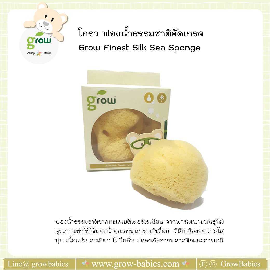 Best Seller GROW Organic Silk Sea Sponge ฟองน้ำอาบน้ำเด็ก ธรรมชาติแบบนุ่มเนื้อละเอียดพิเศษ ไซส์ XL
