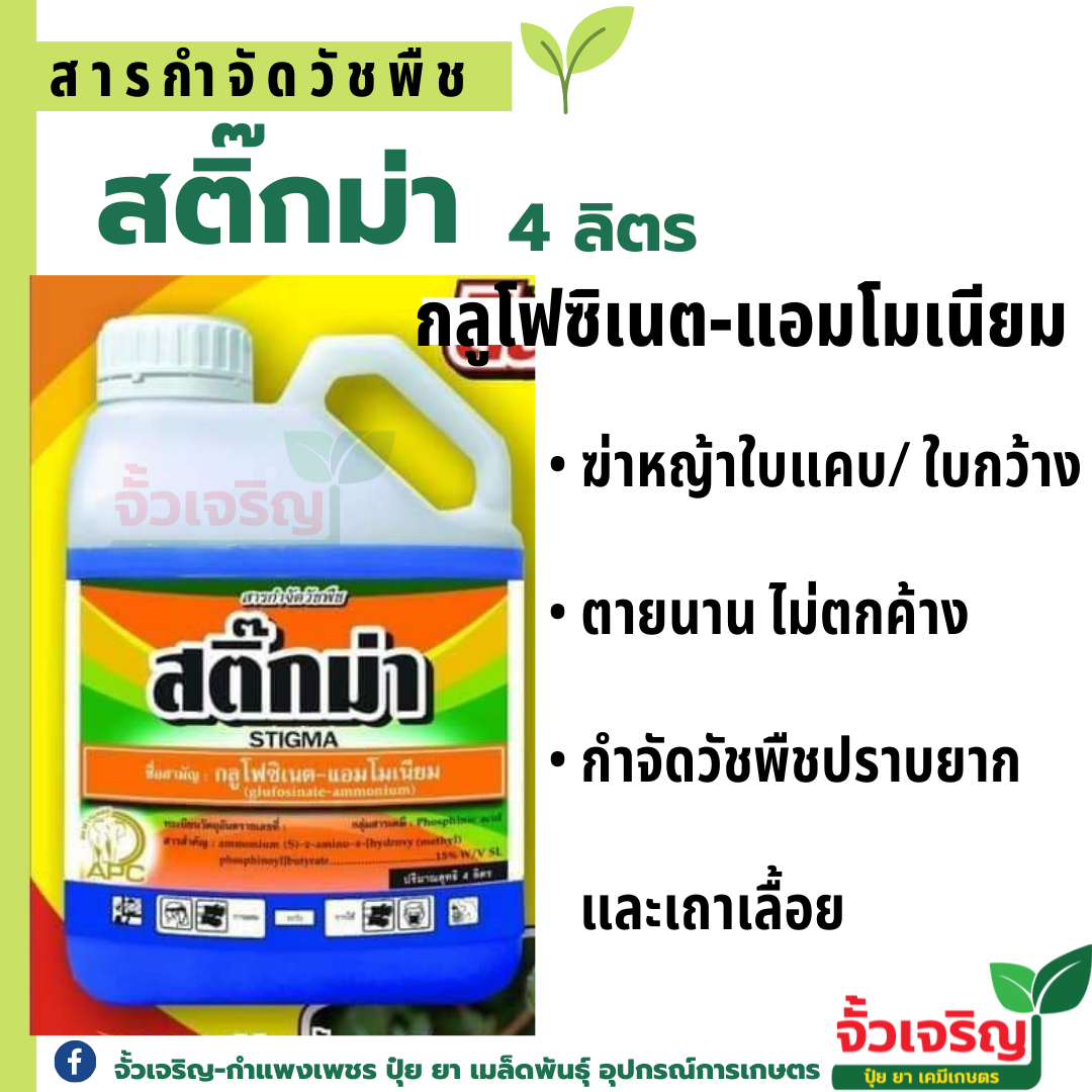 สติ๊กม่า 4ลิตร ( กลูโฟซิเน็ต - แอมโมเนีย ) กำจัดหญ้าใบแคบ ใบกว้าง