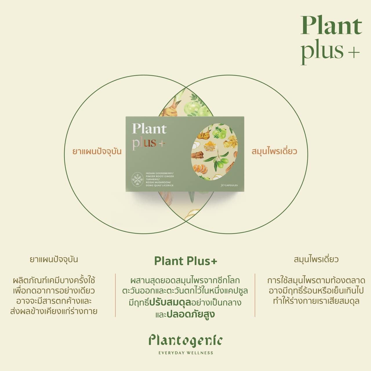 Plant Plus+ อาหารเสริมบำรุงปอด
