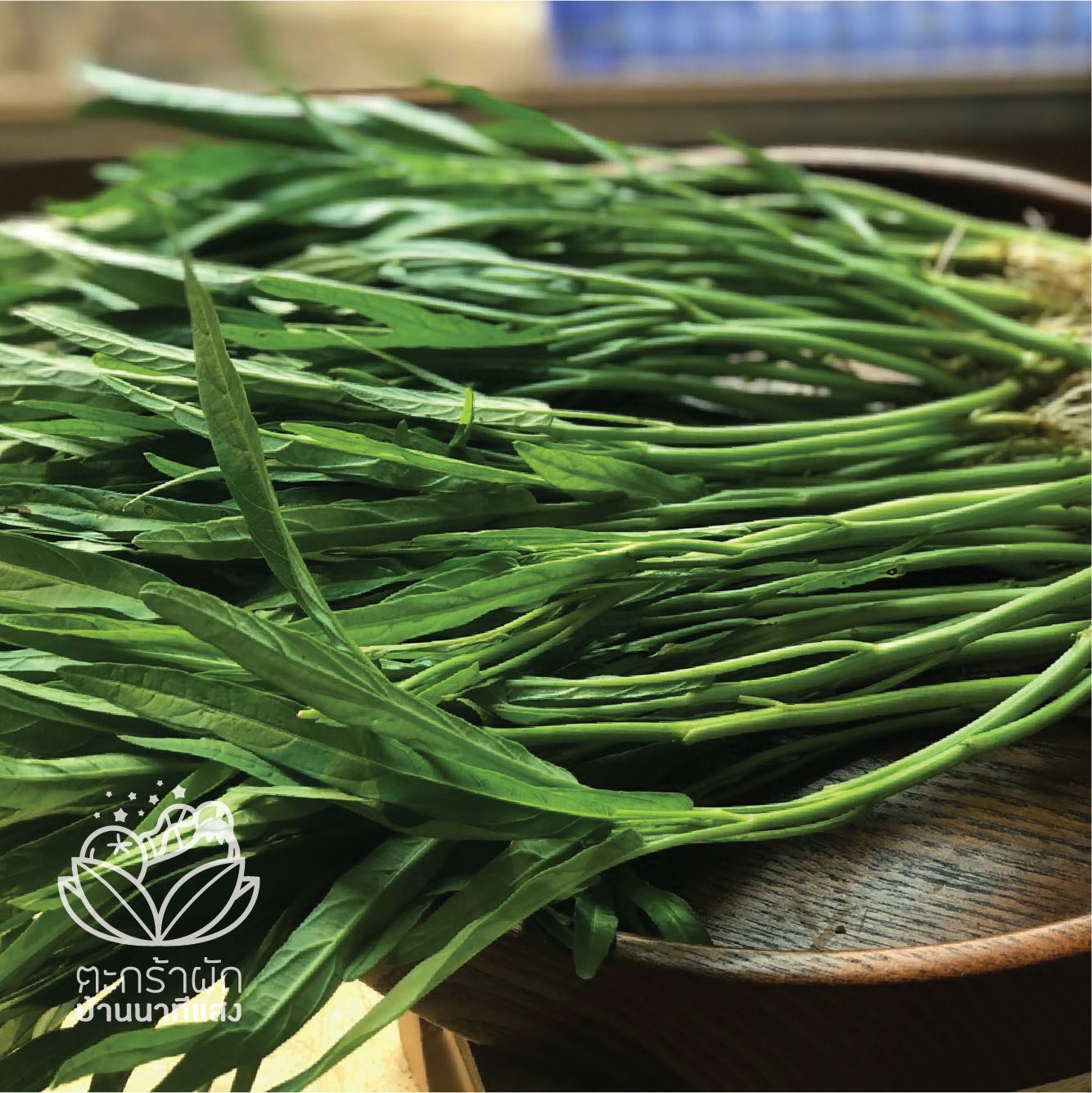 ผักบุ้งจีน (250 กรัม)