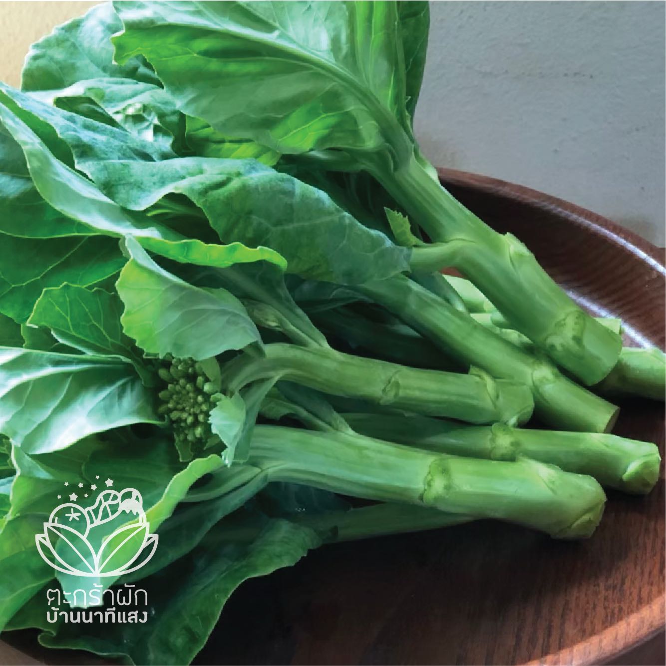 คะน้าฮ่องกง (300 กรัม)