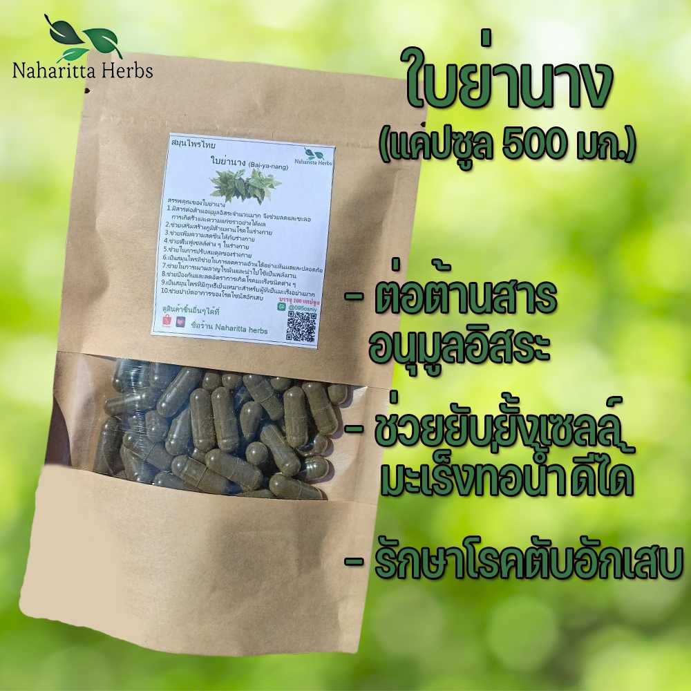 ใบย่านางแคปซูล ช่วยป้องกันการเกิดโรคหัวใจ (ขนาด 500 มก./แคปซูล) บรรจุ 100 แคปซูล
