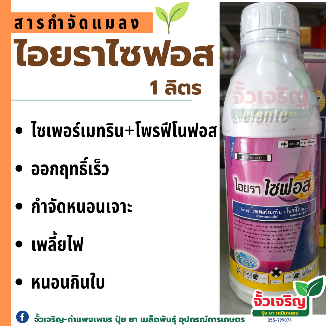 ไอยราไซฟอส 1L. กำจัดหนอนเจาะ เพลี้ยไฟ หนอนกินใบ