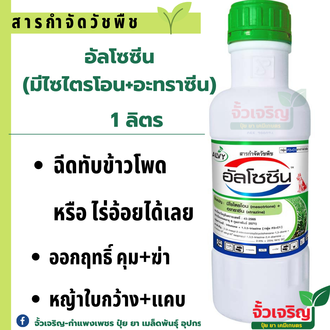 อัลโซซีน ยาคุม+ยาฆ่า ฉีดทับข้าวโพด อ้อย 7-14วัน 