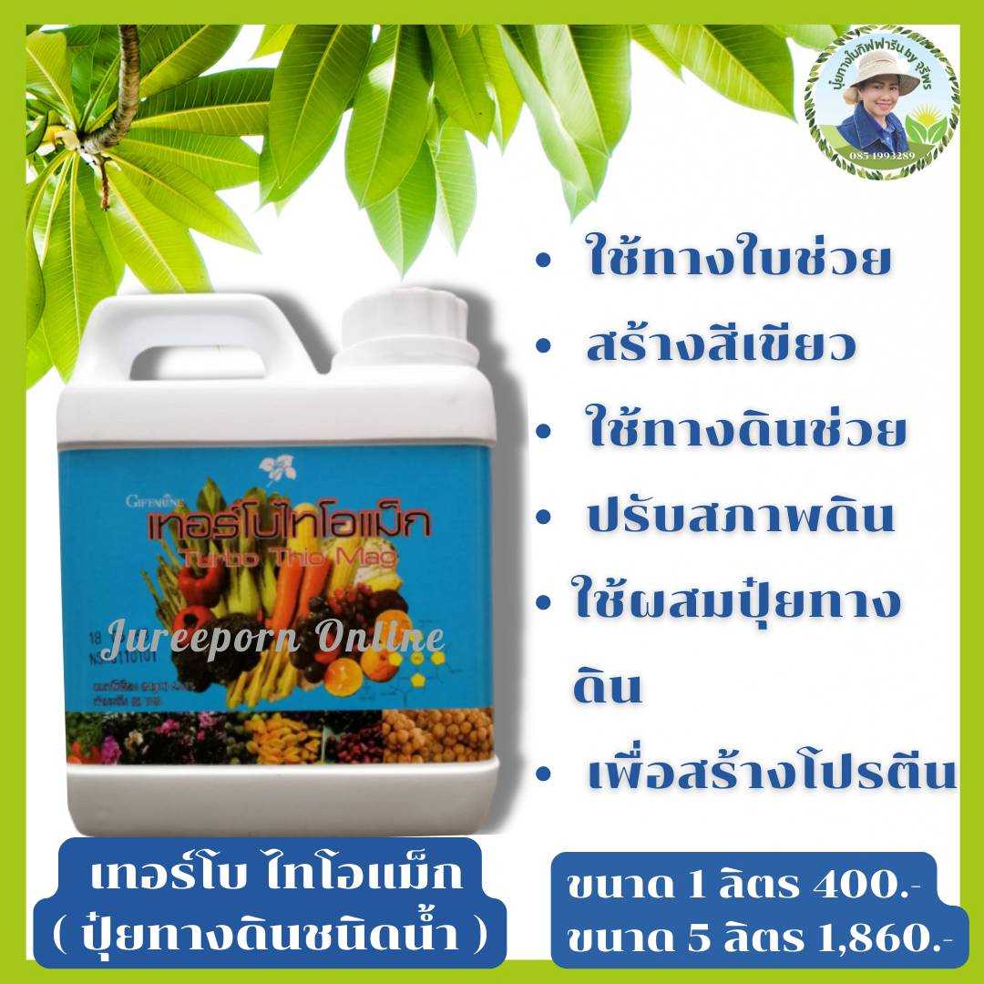 เทอร์โบ-ไทโอแม็ก กิฟฟารีน Turbo Thio Mag เพิ่มความเขียวให้กับพืช ปรับโครงสร้างให้ดินระบายน้ำได้ดี
