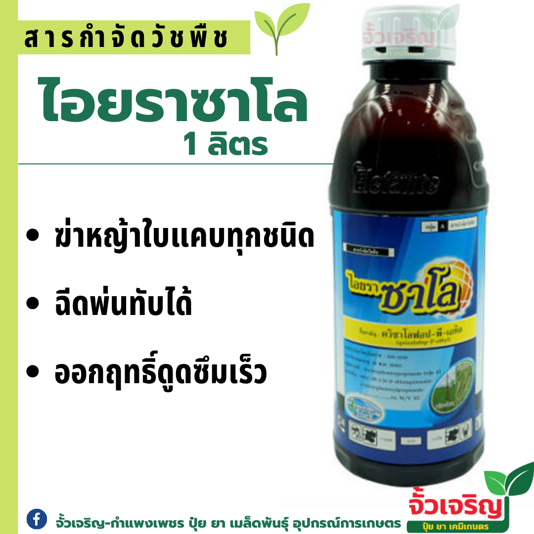 ไอยราซาโล 1ลิตร (ควิซาโลฟอป-พี-เอทิล) ฆ่าหญ้าใบแคบทุกชนิด  ออกฤทธิ์ดูดซึมเร็ว