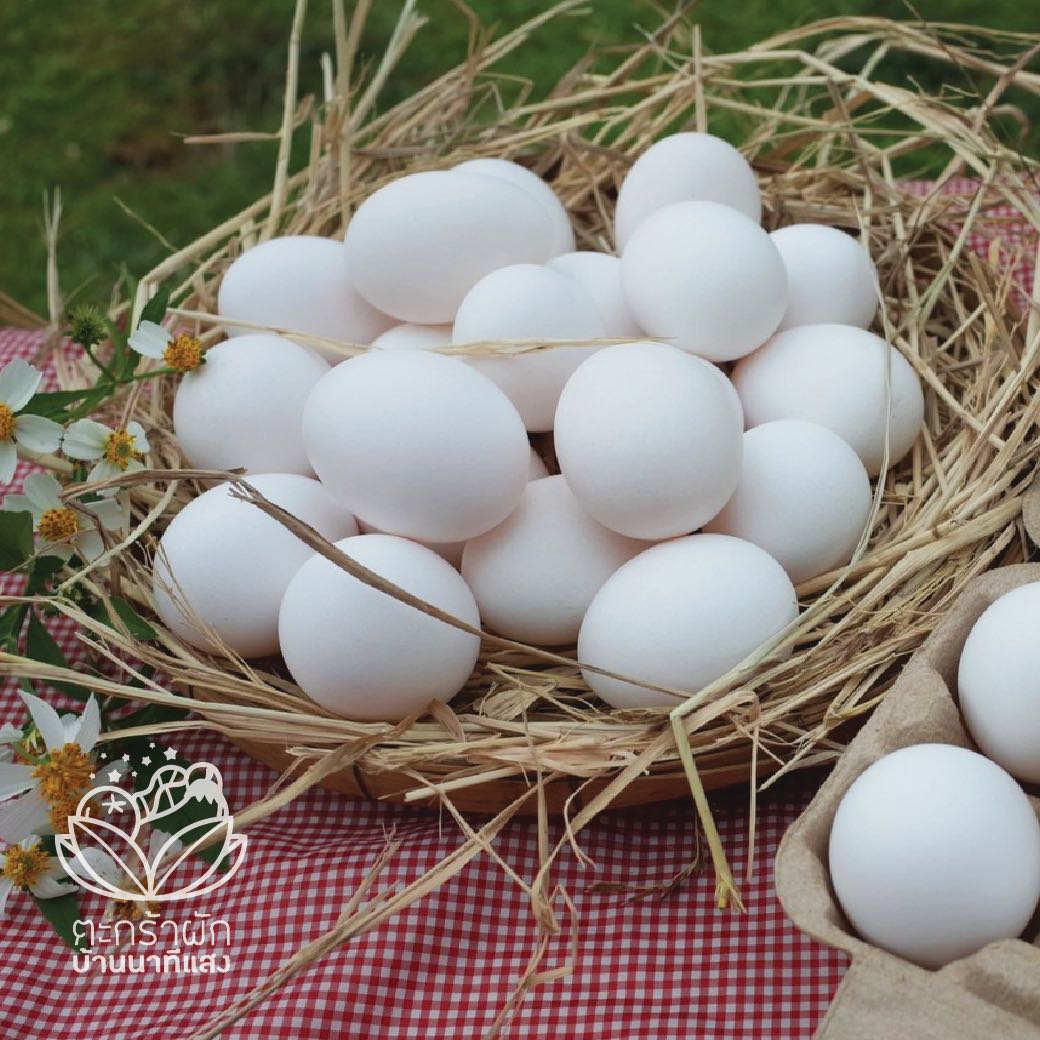 ( 6 ฟอง / แพค) ไข่ไก่ไวท์เล็กฮอร์น (คละขนาด)