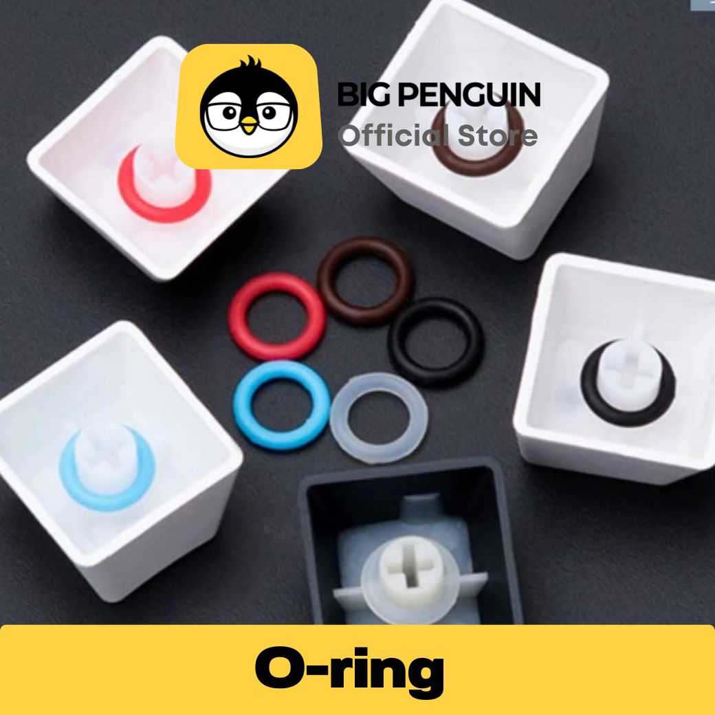 O-Ring