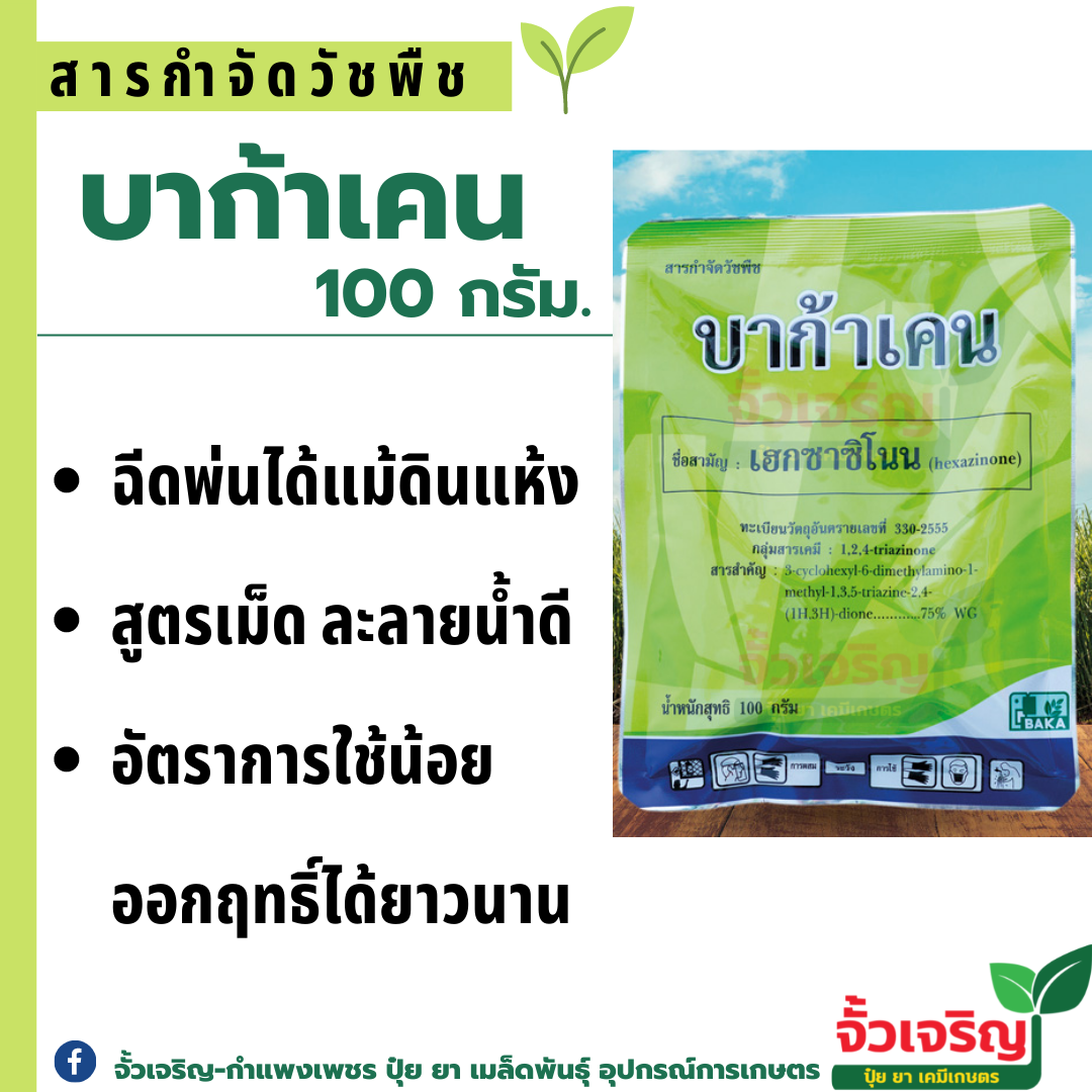 บาก้าเคน 100g (เฮกซานิโนน) กำจัดหญ้าใหญ่ ในอ้อยโต
