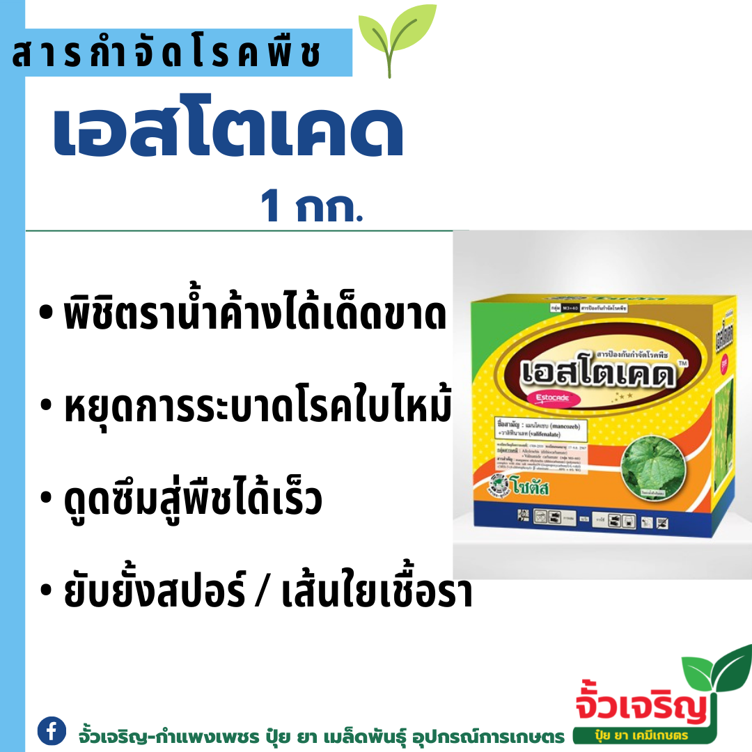 เอสโตเคส (1กก.)  ป้องกันกำจัดโรคราน้ำค้าง  โรคใบไหม้ โรครากเน่า