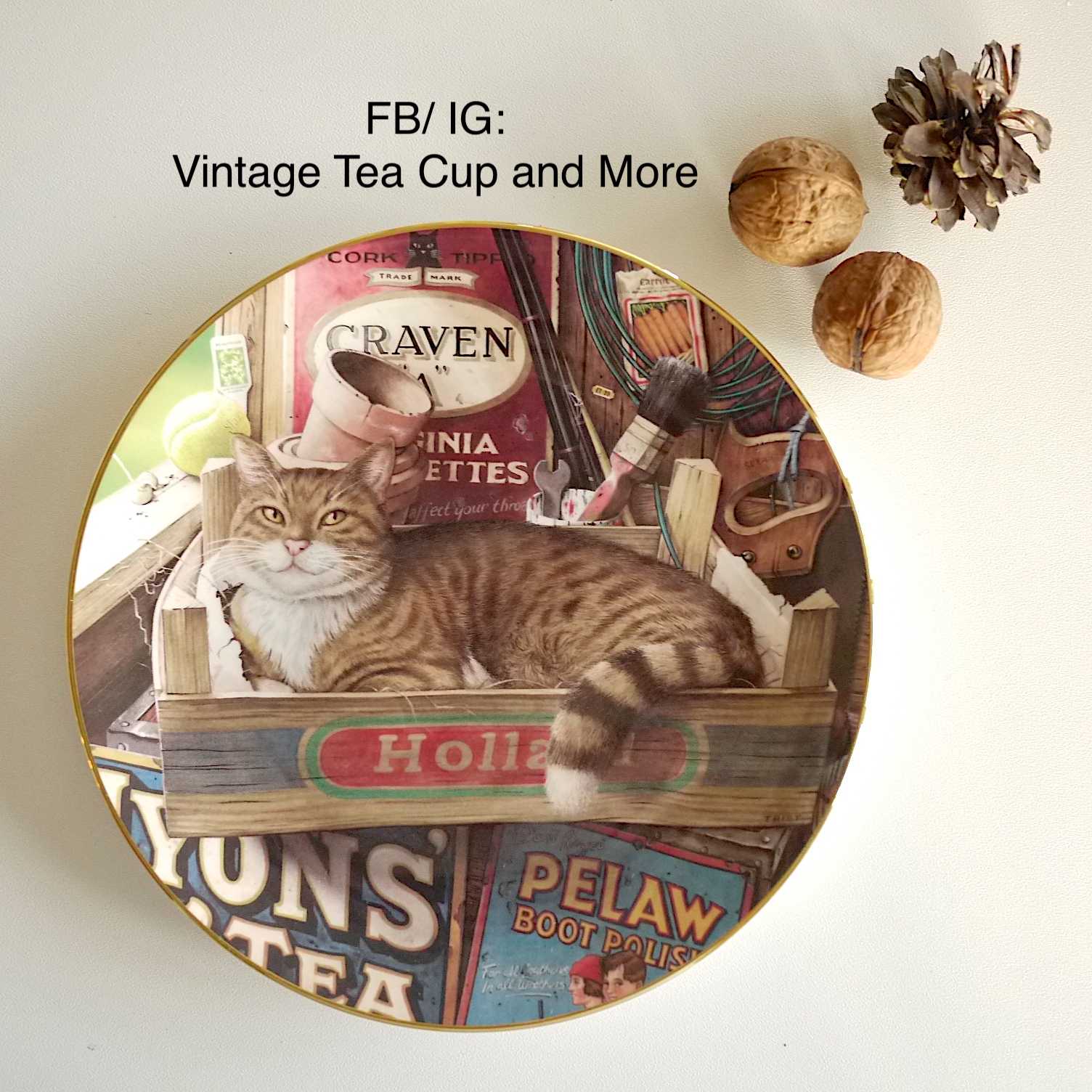 จานโชว์ Royal Doulton Cats of Character