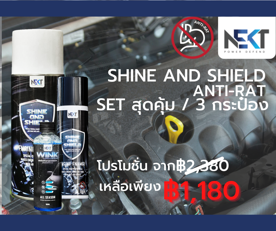SET สุดคุ้ม Shine and Shield และ Wink
